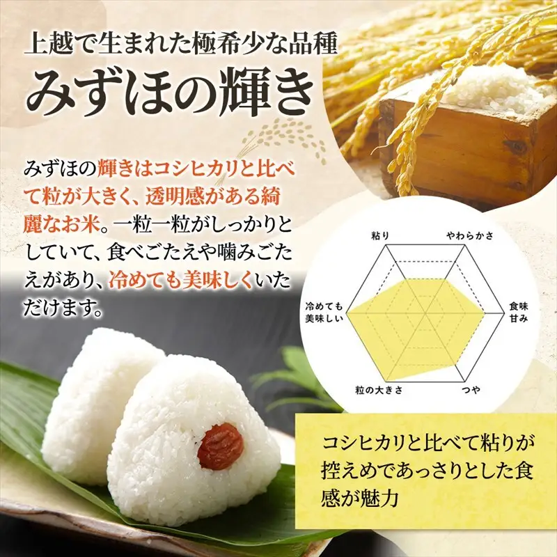 令和8年産 【10月配送】 新潟県上越市産 みずほの輝き 5kg 先行予約 新米 蛍の里