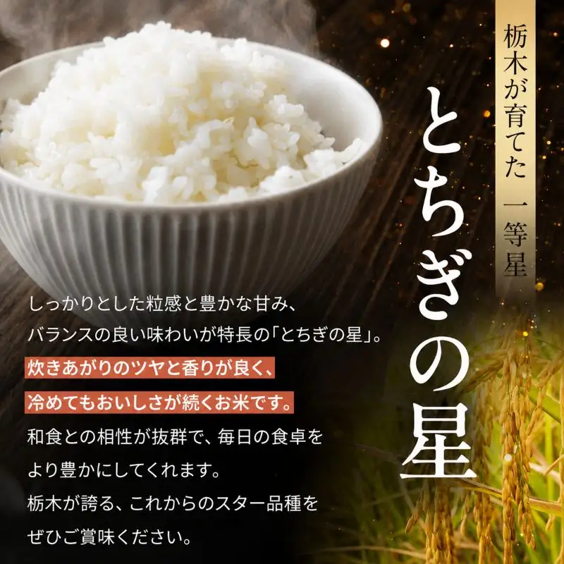 栃木県産 お米 白米 とちぎの星 10kg | 栃木県 矢板市　栃木県共通返礼品 栃木県産