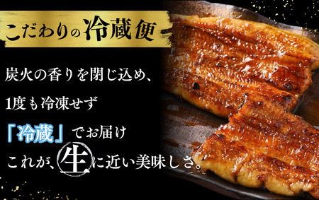 かくれ うなぎ誕生の店 川八 おうちでかくれうなぎ 3人前　【 うなぎ 】