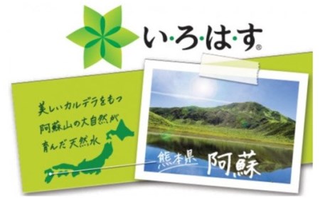 【6ヶ月定期便】い・ろ・は・す 阿蘇の天然水 540mlPET×24本（計6ケース） 6ヶ月 定期便  540ml 24本 いろはす 水 天然水 6回 ミネラルウォーター ペットボトル ケース コカ・コーラ 阿蘇 熊本 南小国町 送料無料