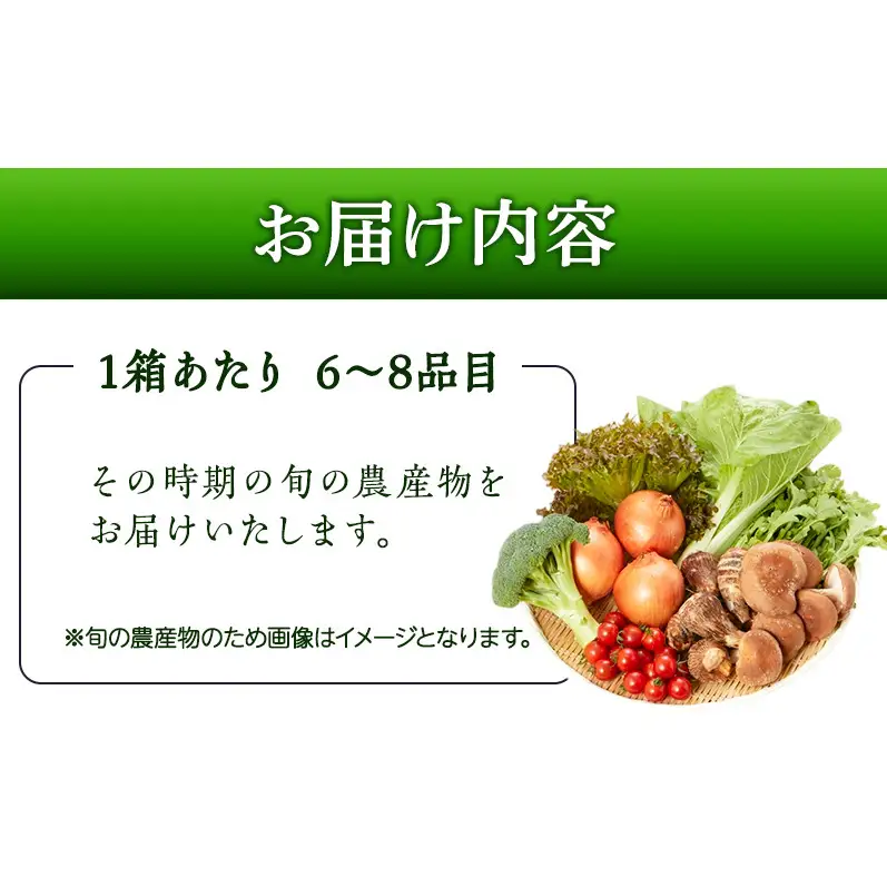 野菜 詰め合わせ 旬の野菜セット (6〜8品) 岸和田市産 産地直送 新鮮 農産物 国産 詰め合わせセット お取り寄せ グルメ つめあわせ おかず サラダ 普段使い 日用品 常備菜 旬 野菜 大阪府 岸和田市