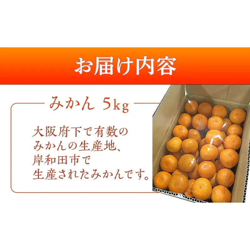 泉州みかん 5kg 先行予約 愛彩ランド厳選 ミカン みかん 蜜柑 【数量限定】フルーツ 果物 くだもの 柑橘 旬の味覚 お取り寄せ 冬ギフト 贈り物 ギフト 家庭用 大阪府 岸和田市