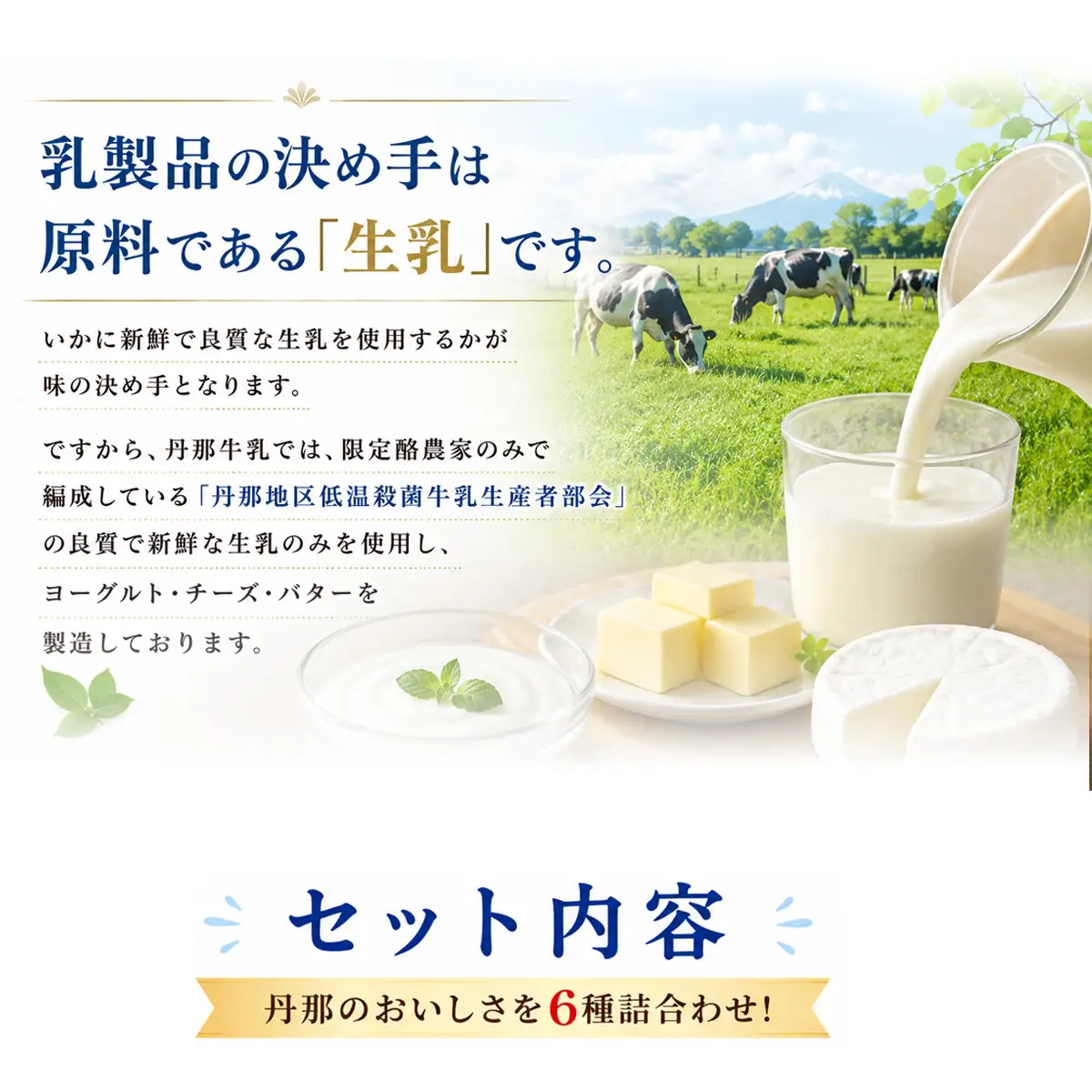 丹那牛乳　南箱根ギフト　Aセット_卵・乳製品 チーズ 卵・乳製品 ヨーグルト 卵・乳製品 バター _【配送不可地域：離島】【1036170】