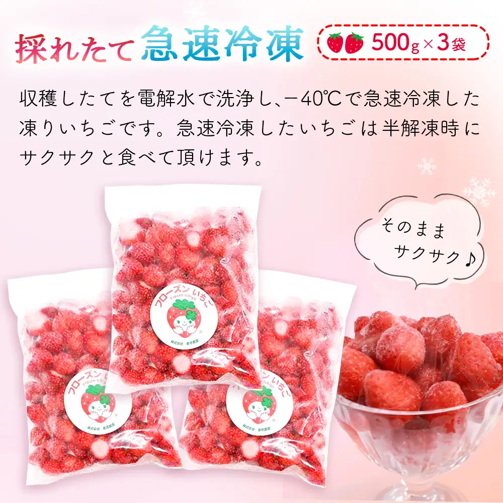 フローズンいちご 1.5kg (H017122)