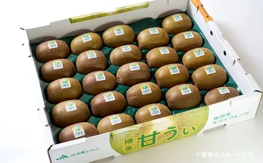 福岡県産 キウイ 甘うぃ 約3kg （24～33玉） キウイフルーツ きうい フルーツ 果物 くだもの 常温 福岡県 久山町 【2026年10月下旬-12月上旬まで順次発送予定】