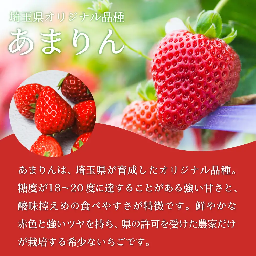 【先行予約】いちご あまりん 加須市産 250g入り×4パック 苺　あまりん