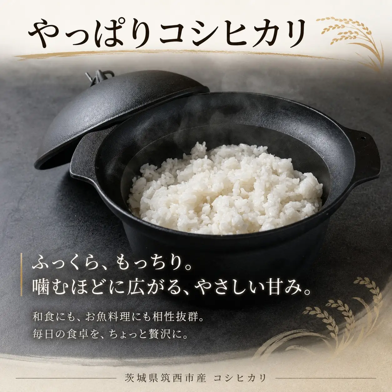 【新米予約】 コシヒカリ 精米 10kg 先行予約 令和8年 新米 米