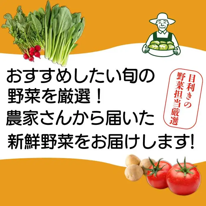 【12か月定期便】道の駅セレクト 旬野菜つめあわせ やさい 野菜 詰め合わせ 7～10品目 新鮮 国産 健康 ヘルシー サラダ 鍋 季節 043043
