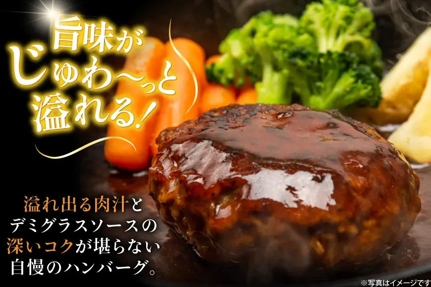 AJ638 デミグラスハンバーグ290g 5パック 