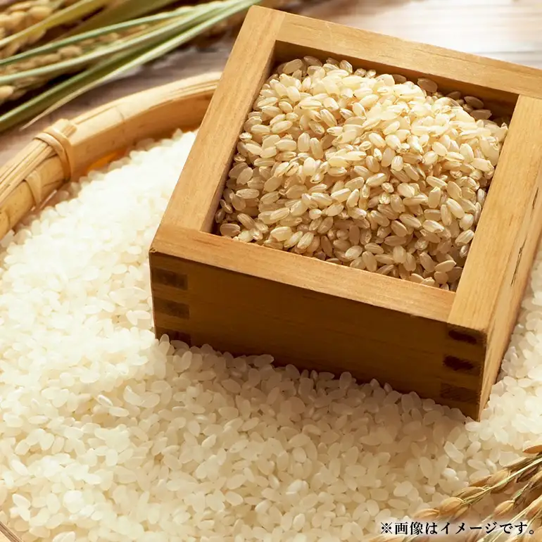 【令和7年産】いのちの壱（玄米）10kg B08-006