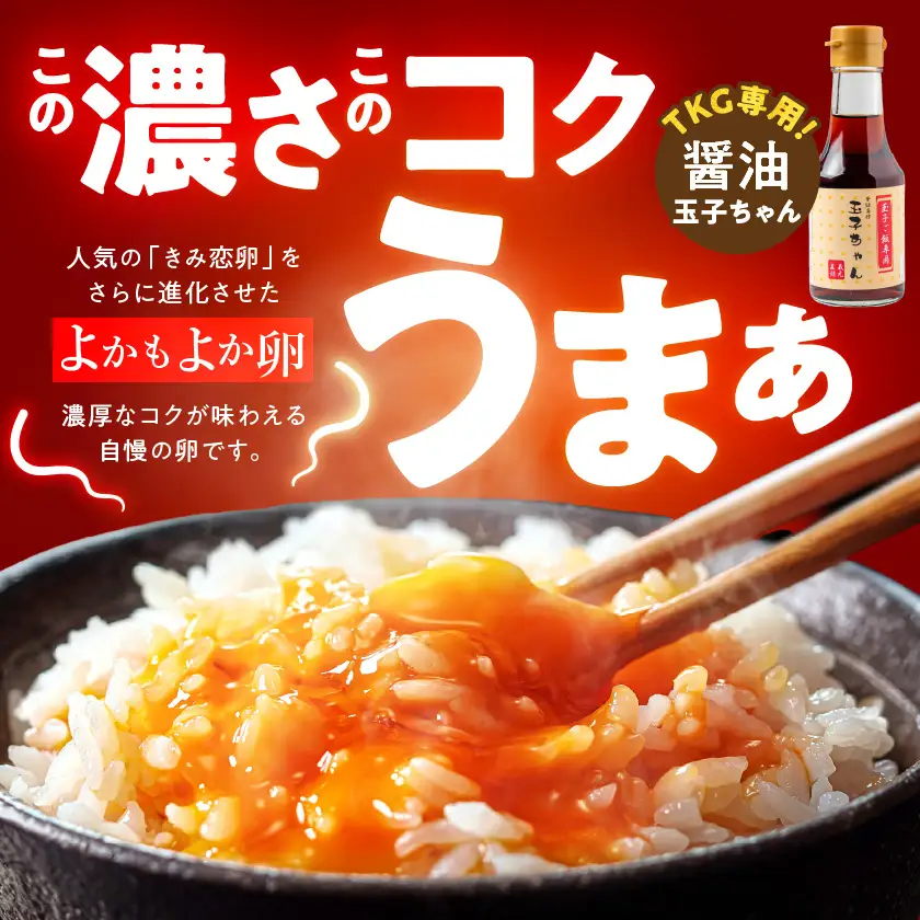 「よかもよか卵」のたまごかけご飯セット〔LG8-29-012〕_(都城市) きみ恋卵 Ｍサイズ 醤油 たまごかけご飯専用醤油「玉子ちゃん」 甘口 卵かけご飯 朝ごはん 朝食