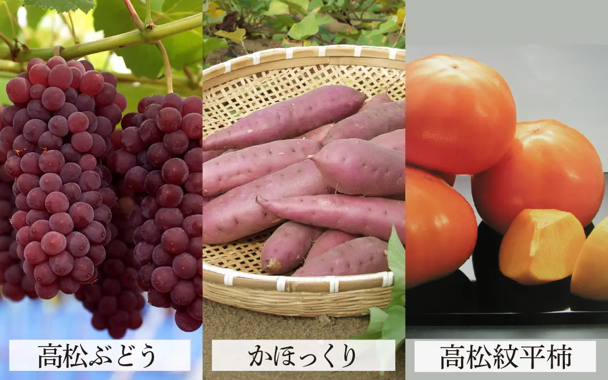 かほく市 農産物ブランド 6品目セット 