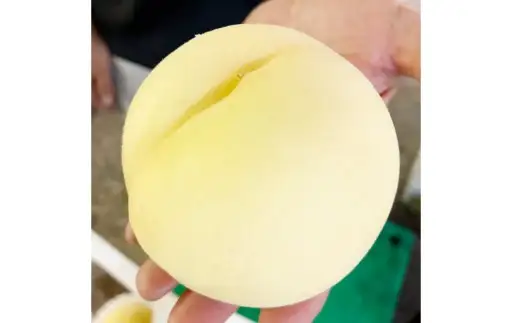岡山の桃 白皇 9～15玉 （約3.8kg） 【2026年8月下旬～9月下旬発送予定】 新品種 糖度 香り 果実 くだもの 果物 フルーツ もも 桃 モモ ピーチ 国産 岡山県産 ブランド 甘み 肉質