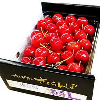 【令和9年産 先行予約】 さくらんぼ 「佐藤錦」 約500g (特秀 L) バラ詰め 《令和9年6月中旬発送》 『マルエ青果』 先行予約 サクランボ 果物 フルーツ 山形県 南陽市 [2703]