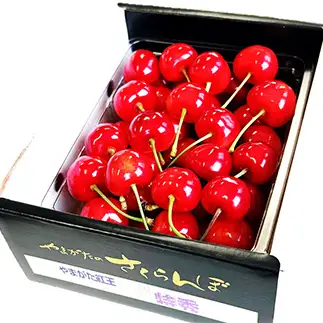 【令和9年産 先行予約】 さくらんぼ 「やまがた紅王」 約500g (特秀 2L以上) バラ詰め《令和9年6月中旬～発送》 『マルエ青果』 先行予約 サクランボ 果物 フルーツ 山形県 南陽市 [2704]