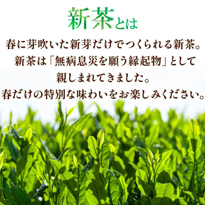 2026年度産 新茶 青葉 100g×3袋 静岡 県 牧之原市 相良物産