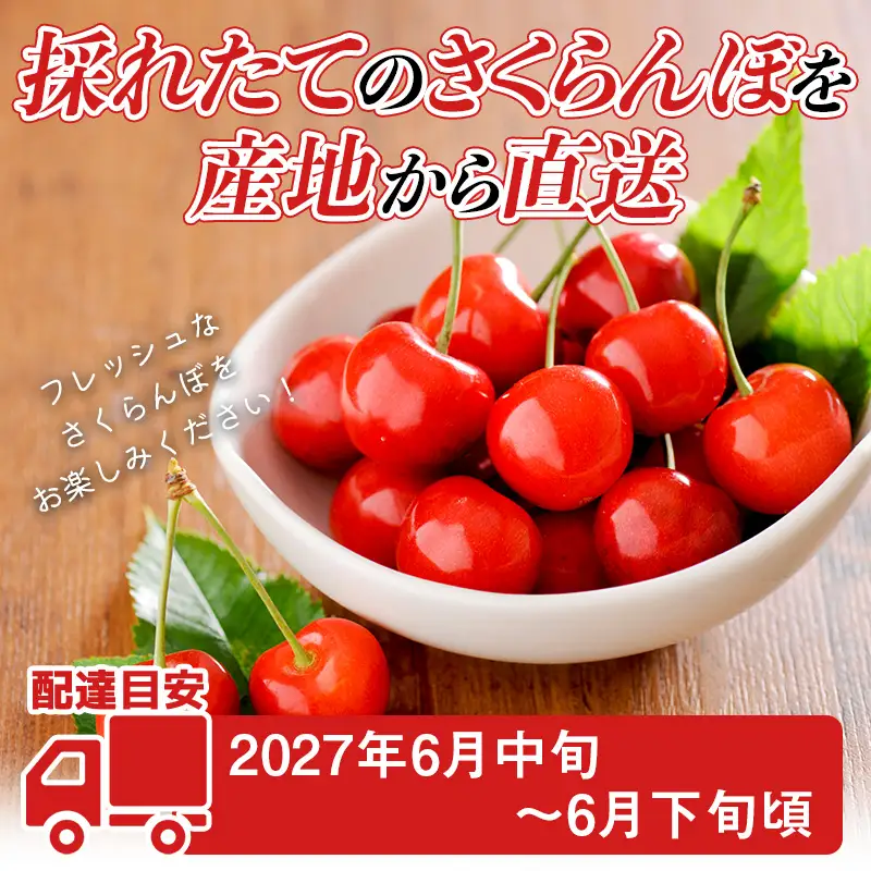 FYN6-614 ≪2027年先行予約≫山形県産 さくらんぼ 佐藤錦 350g 秀品 L以上 バラパック詰め 2027年6月中旬から順次発送 果物 くだもの フルーツ サクランボ チェリー 贈答 贈り物 ギフト プレゼント 自宅 家庭 産地直送 山形県 西川町 月山