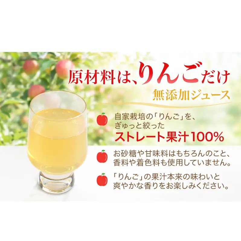 果汁100％りんごジュース 1L×2本 サンふじ ジュース ドリンク 信州 長野