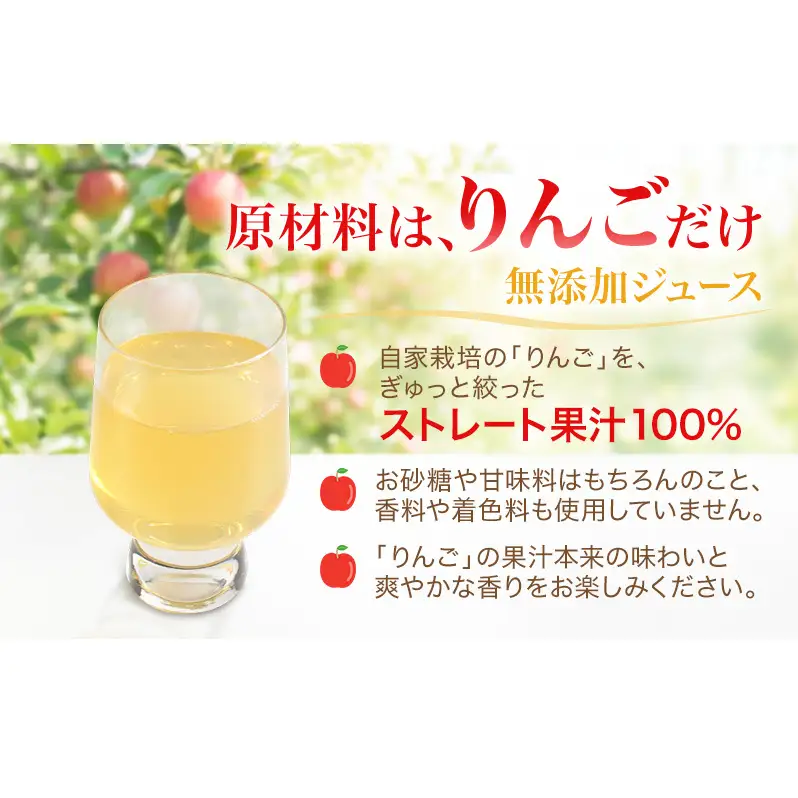 果汁100％りんごジュース 1L×6本 サンふじ ジュース ドリンク 信州 長野