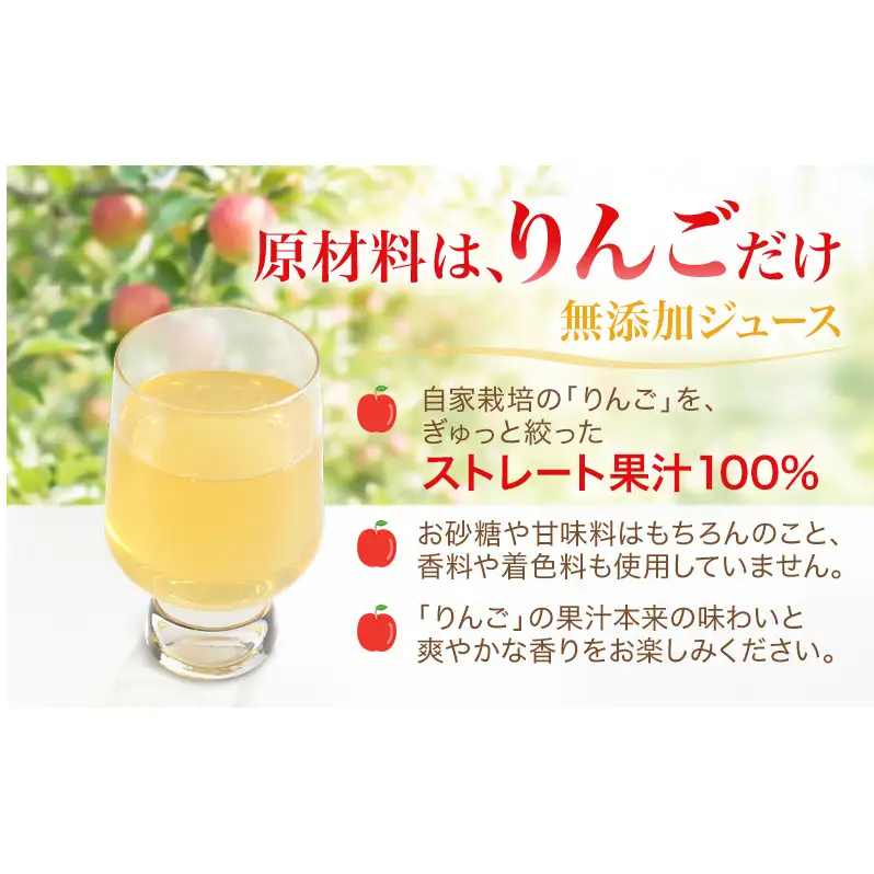 果汁100％りんごジュース 1L×12本 サンふじ ジュース ドリンク 信州 長野