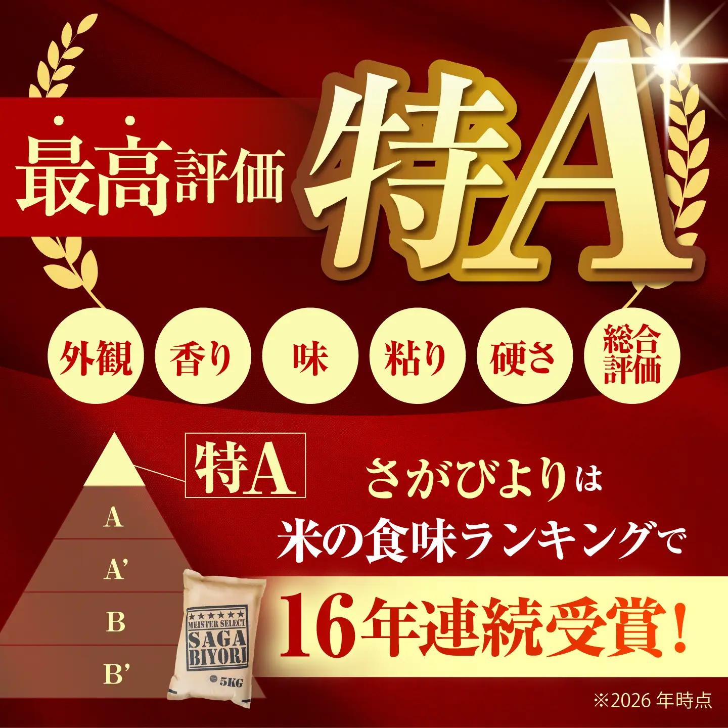 【全12回定期便】さがびより 白米 20kg（5kg×4袋）【五つ星お米マイスター厳選】特A米 特A評価[HBL127]