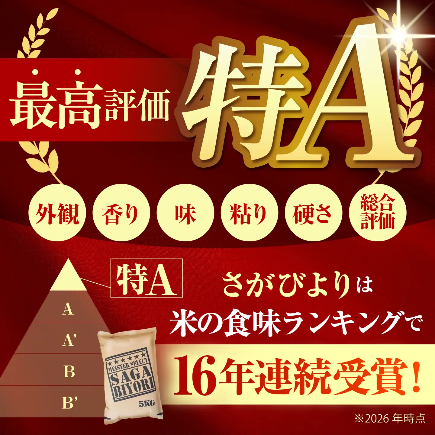 【全12回定期便】 さがびより 無洗米 20kg（5kg×4袋）【五つ星お米マイスター厳選】特A米 特A評価[HBL130]