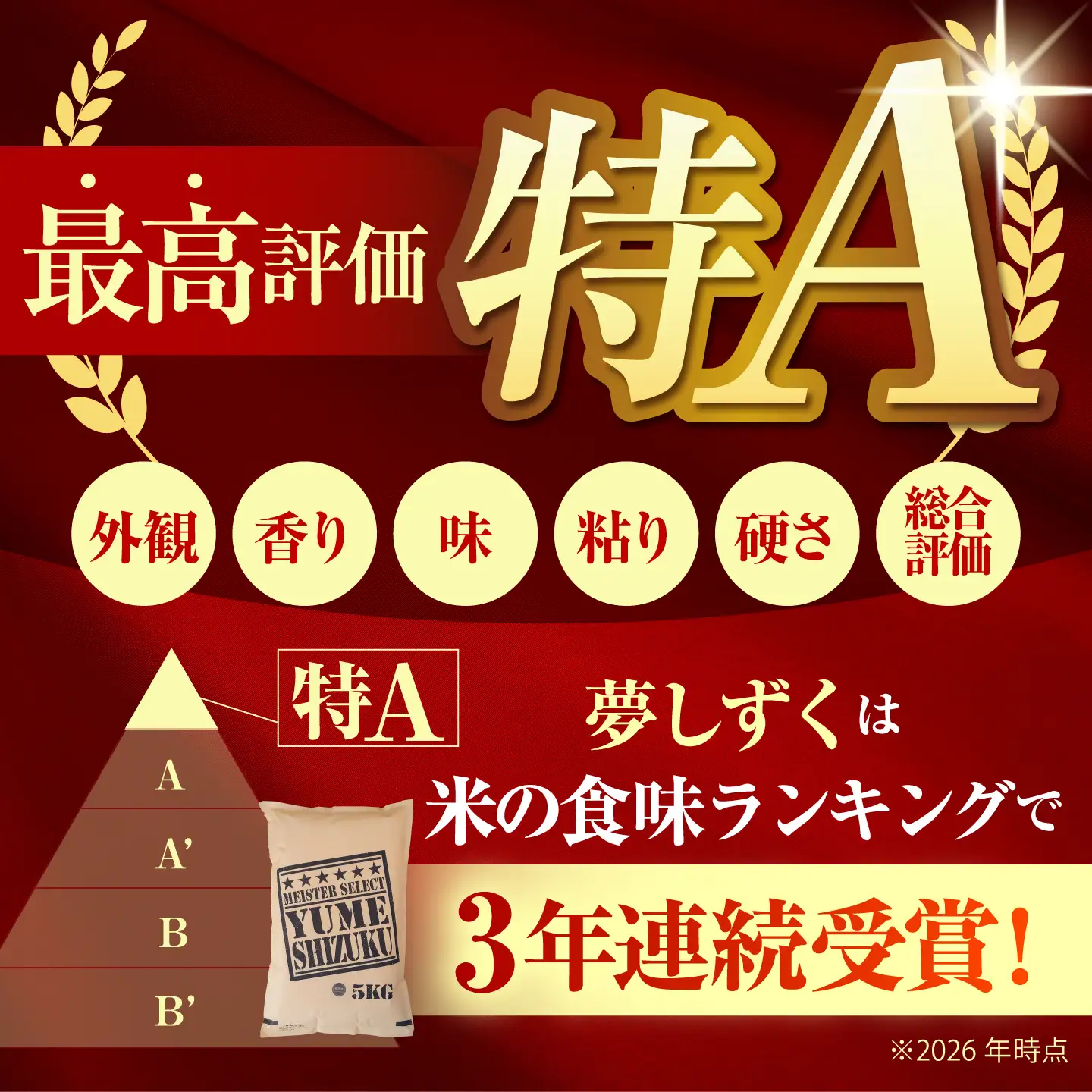 【全6回定期便】 夢しずく 白米 20kg（5kg×4袋）【五つ星お米マイスター厳選】特A米 特A評価[HBL138]