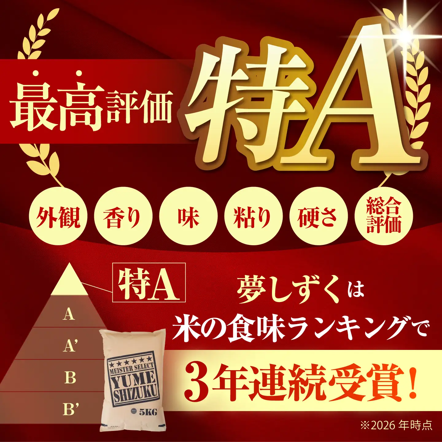 【全6回定期便】 夢しずく 無洗米 20kg（5kg×4袋）【五つ星お米マイスター厳選】特A米 特A評価[HBL141]