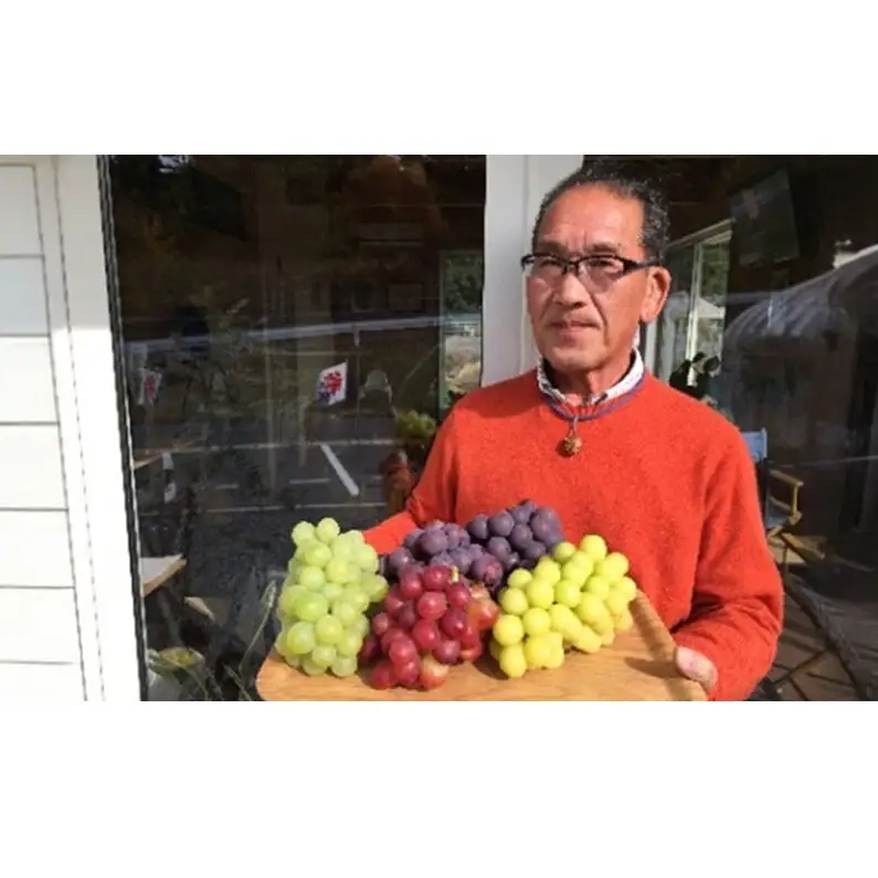 ぶどう 2026年 先行予約 シャイン マスカット 2房 合計1.2kg（1房 約600g） 岡山県産 シャインマスカット