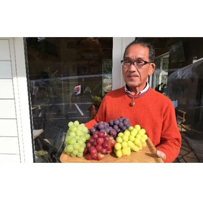 ぶどう 2026年 先行予約 シャイン マスカット 2房 合計1.8kg（1房 約900g） 岡山県産 シャインマスカット
