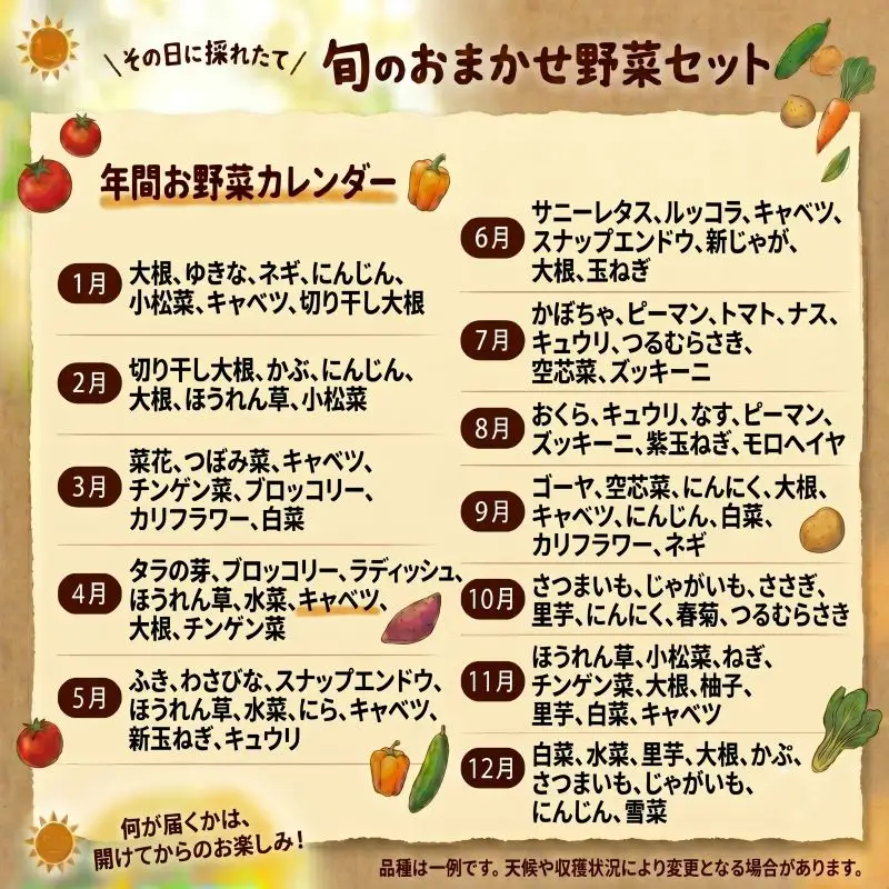 【定期便2ヶ月】 産地直送 朝どれ 新鮮野菜 8～10種類 詰め合わせ セット 野菜