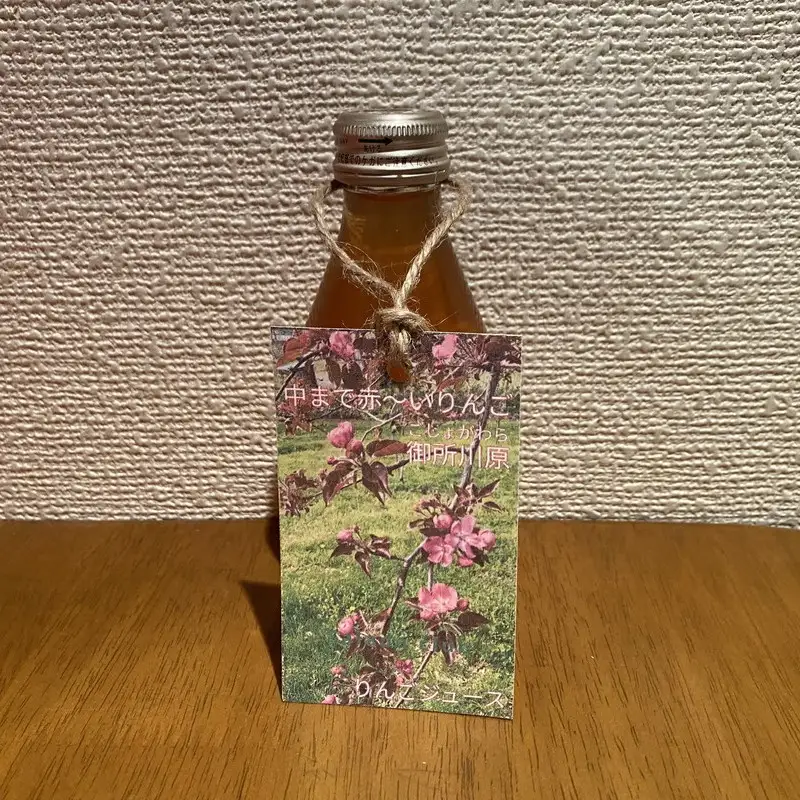 りんごジュース 180ml×10本 ストレート果汁100% 御所川原