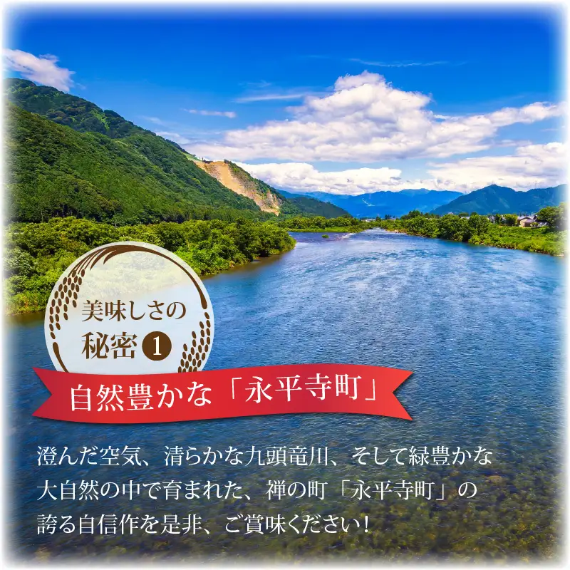 令和8年度産 コシヒカリ 5kg 玄米 特別栽培米 コシヒカリ  