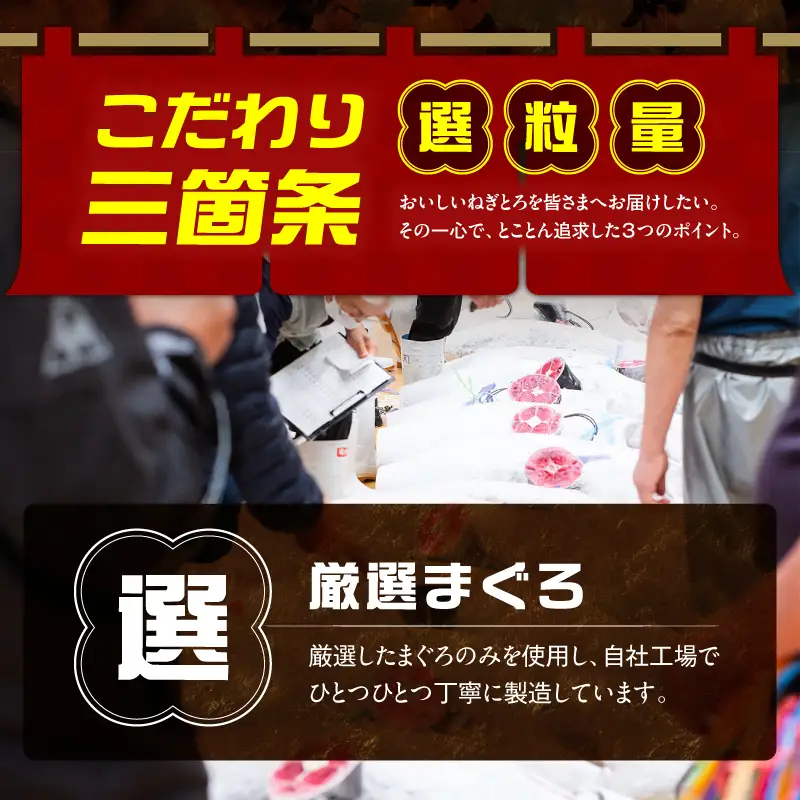 ＜三崎まぐろ ネギトロ 1kg＞便利な小分け 10食分 M070-011 ねぎとろ マグロ まぐろ
