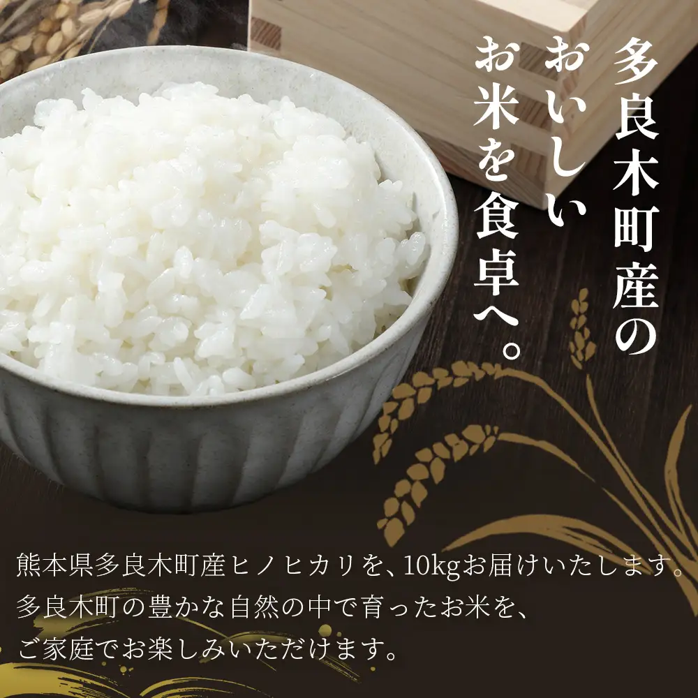 【お米】 令和7年産 多良木町産 ヒノヒカリ 10kg  熊本県 ひのひかり お米 新米 ごはん 白ごはん 美味しい米 白米 米 精米 ご飯 黄金晴 熊本県産 送料無料 053-0511