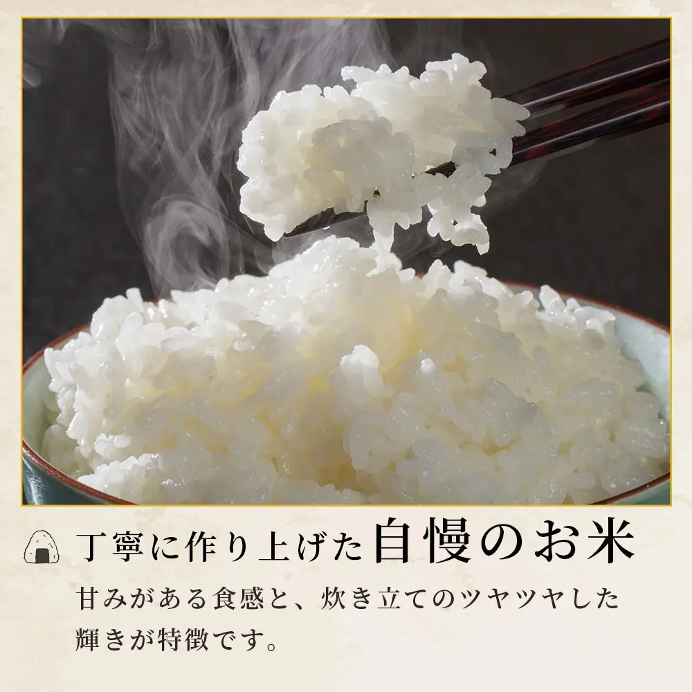 人吉球磨のお米「ひのひかり」無洗米10kg  精米 お米 ご飯 熊本県 ヒノヒカリ お米 精米 こめ コメ 国産 ブランド米 053-0510