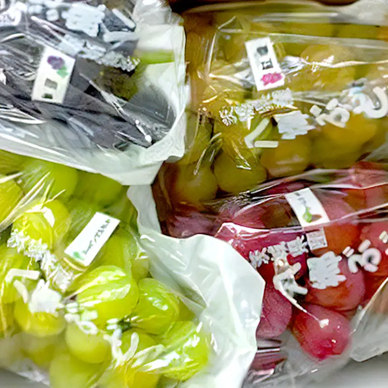 【 2026年 先行予約 】旬のぶどう 色とりどり詰合せ 約4kg 8～14房 (A03-006)