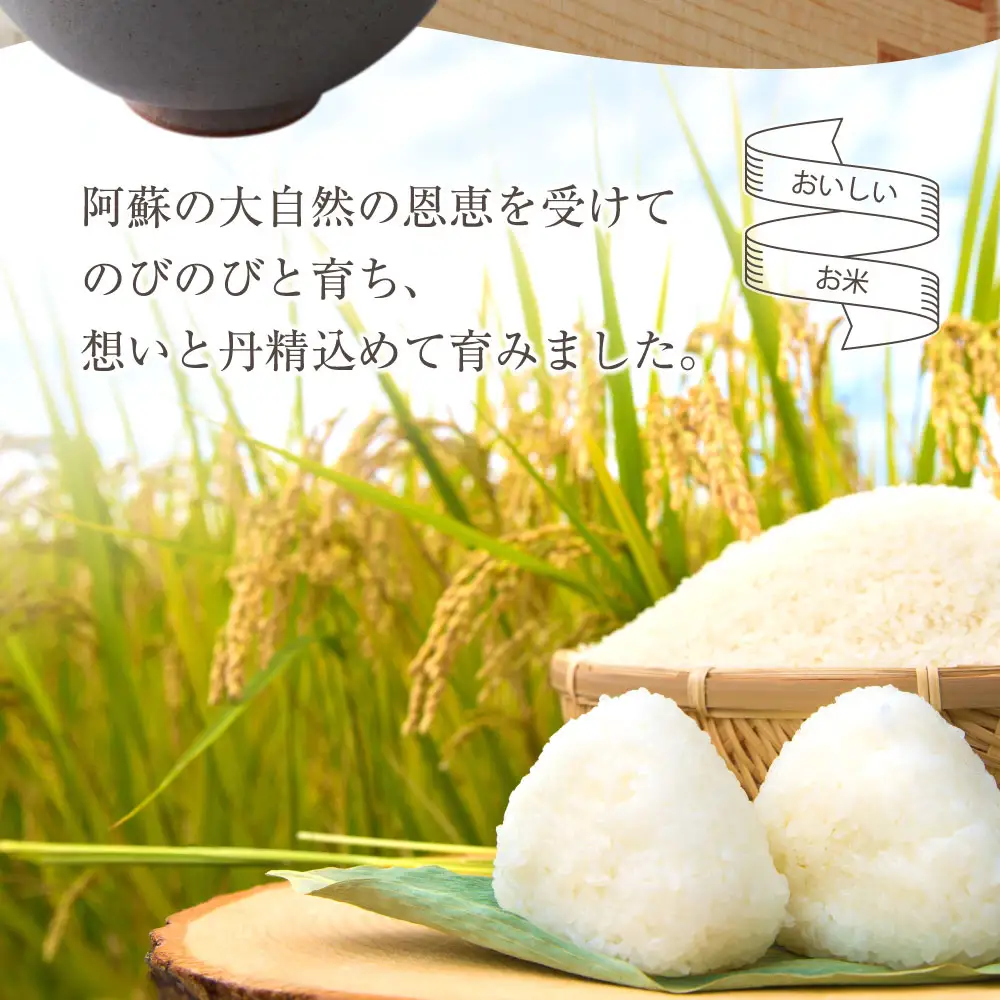 特別栽培米 ひとめぼれ 約30kg×1（玄米）阿蘇アグロスタイル  米 ごはん 人気 美味しい 甘味 もちもち なめらか 減農薬 湧水 熊本県 阿蘇市