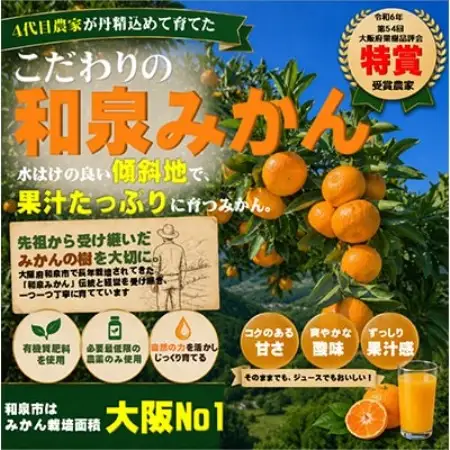 先行予約　大阪府和泉市産 宮川早生 和泉みかん 1ケース5Kg 11月中頃より発送【1672205】