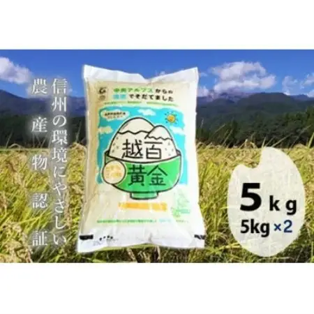 長野県産 越百黄金米(精米)5kg×2袋【1737901】