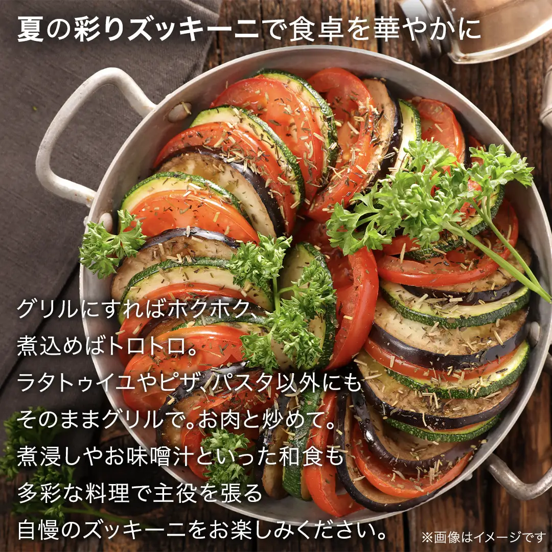 旬の採れたて 新鮮 ズッキーニ 2kg （約6～12本） [BT003tu]