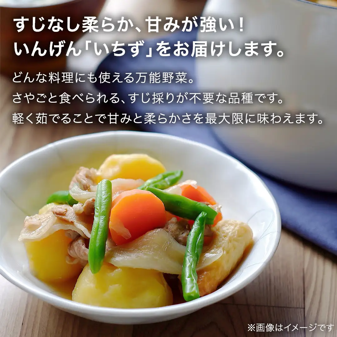 【7月上旬発送開始】旬の採れたて 新鮮 いんげん 約1kg [BT004tu]