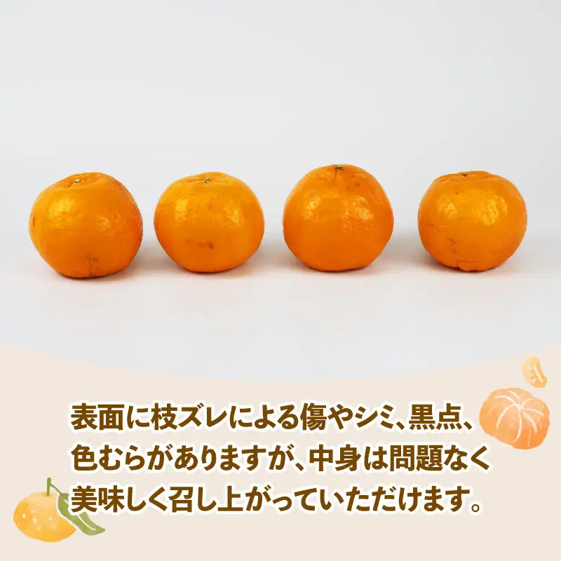みかん 訳あり ポンカン 約 5kg スーパー山田屋 先行予約 ぽんかん 甘い 果物 くだもの フルーツ 柑橘 mikan 蜜柑 愛媛蜜柑 愛媛みかん わけあり サイズ 不揃い 産地直送 数量限定 国産 愛媛 宇和島 B010-198003