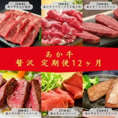 【毎月定期便】あか牛　贅沢　定期便　(益城町)全12回【配送不可地域：離島】【4087648】
