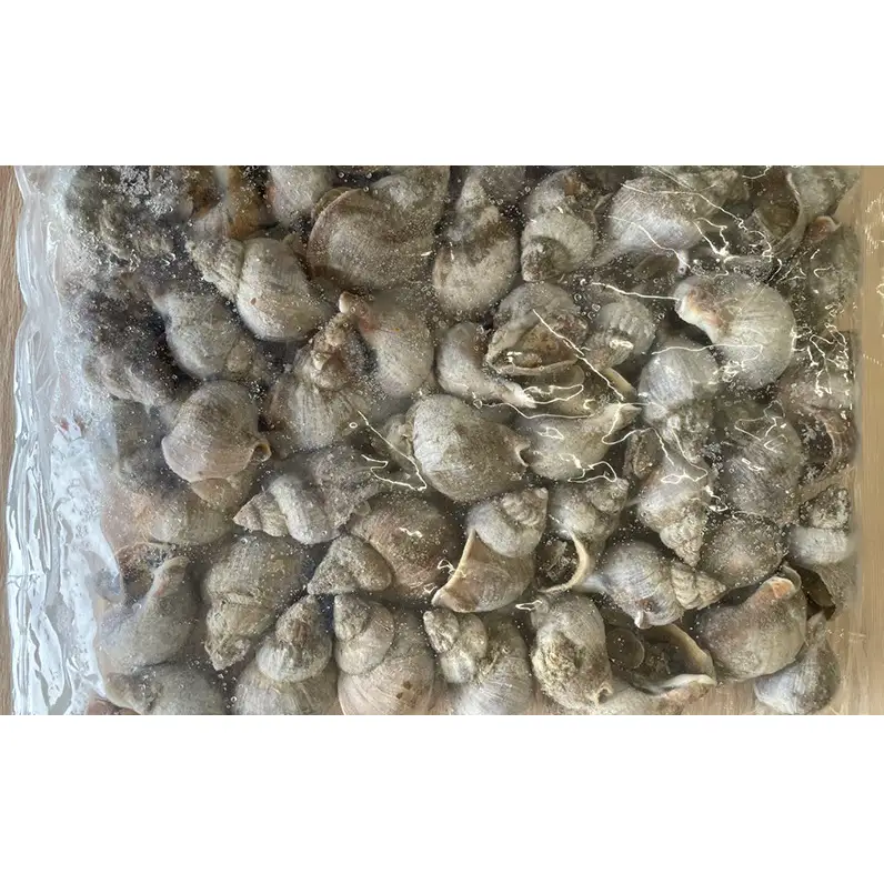 北海道産 ボイル 冷凍 磯つぶ 1kg×1パック つぶ 煮つぶ ツブ 貝