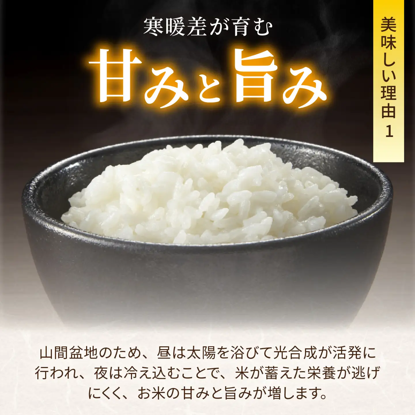 【令和8年産】新米 4.5kg 森目のコシヒカリ 新米 A-008011