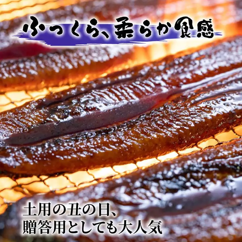 うなぎ 食べ比べ 蒲焼き 白焼き 各1尾 国産 うなぎ 