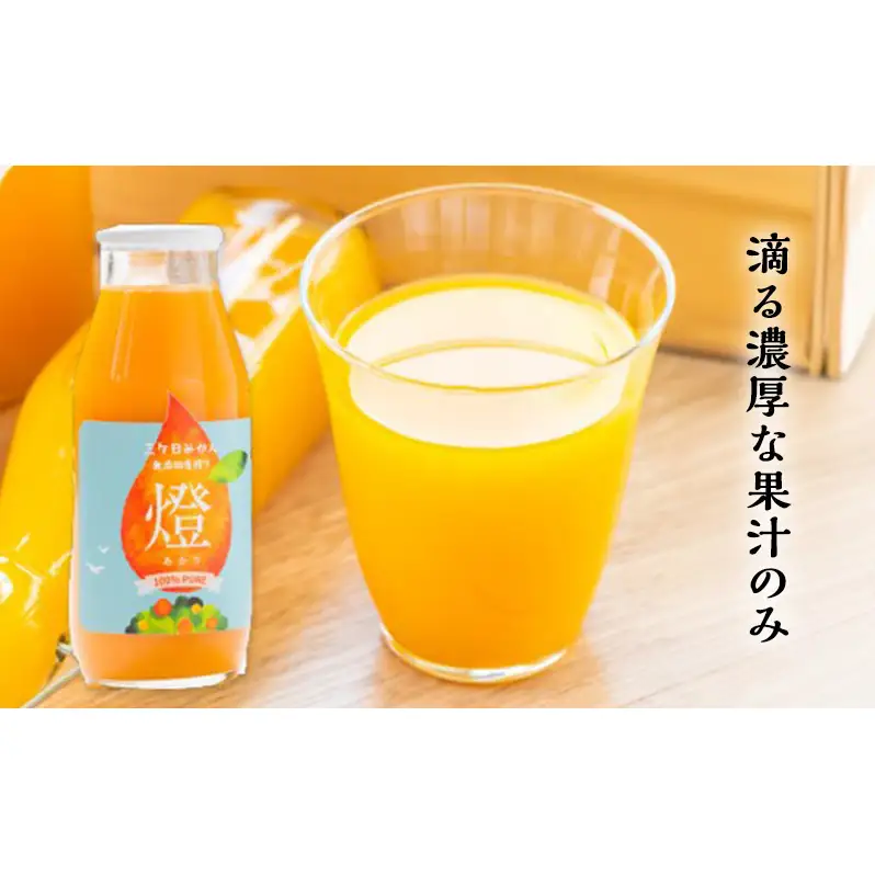 三ヶ日みかん生搾りジュース燈（あかり）【180ml×6本入】 みかん ジュース 濃厚 三ヶ日みかん青島 生搾り 100%ジュース 静岡 浜松市