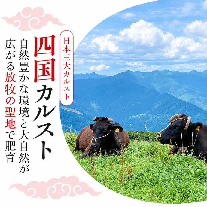 四国カルスト育ち 和牛 ヒレステーキ 600g 