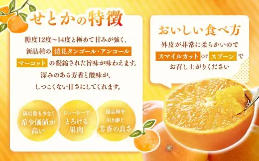 せとか 約2kg みかん ミカン 蜜柑 柑橘 柑橘系 柑橘類 くだもの 果物 フルーツ 果実 果汁 果肉 国産 愛媛県産 愛媛みかん 濃厚 爽やか 香り 【2027年2月下旬-4月下旬発送予定】 ( 1117 )